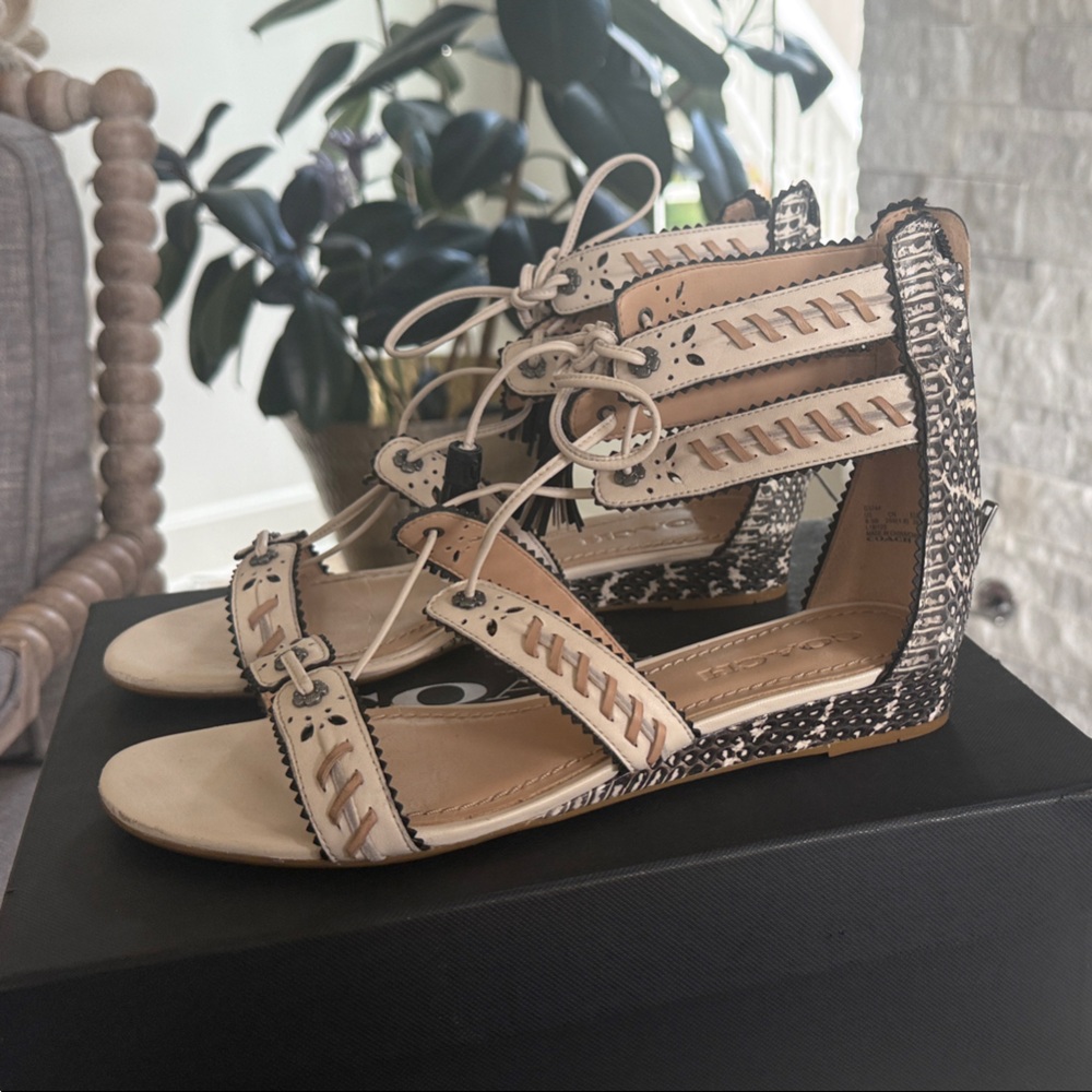 Coach Tan and Black Gladiator Sandals